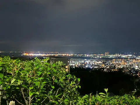 夜景と緑の境界線