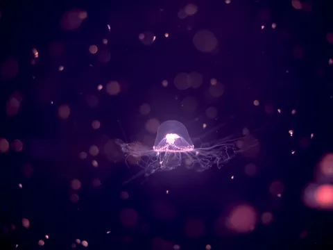 夜の海原に浮ぶ光の雫