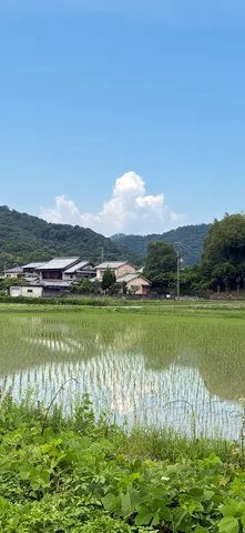 青空と田園風景のコントラスト
