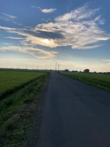 光と田園の静寂ロード