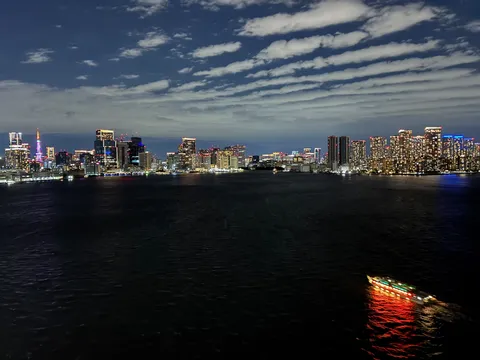 夜景に浮かぶ光の船