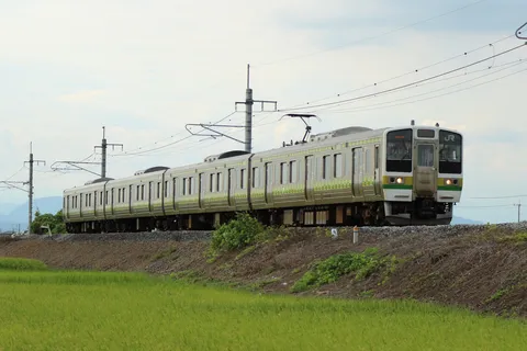 緑を走る通勤電車の静謐
