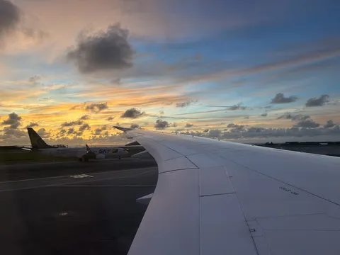 翼と美しい夕焼け空