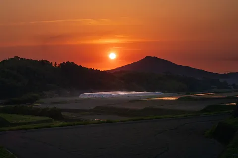 夕陽に照らされる温室