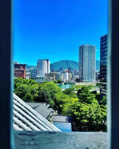 都会の緑と空のコントラスト