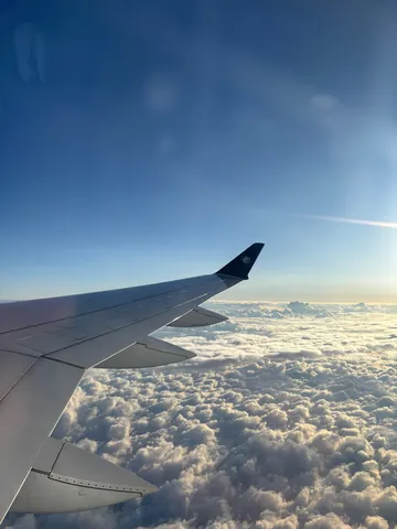 雲海に浮かぶ翼