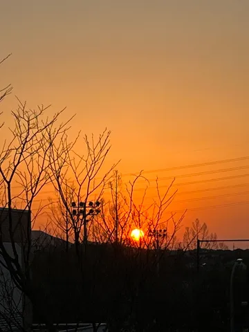 夕暮れ、電線と木々のシルエット