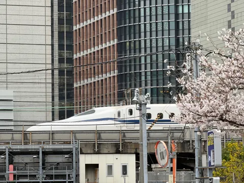 新幹線と桜の街角