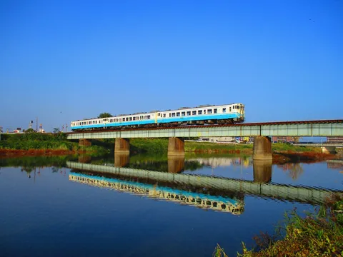 水面に映る青と白の列車