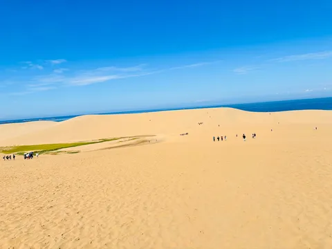 蒼天の下、広がる砂の波