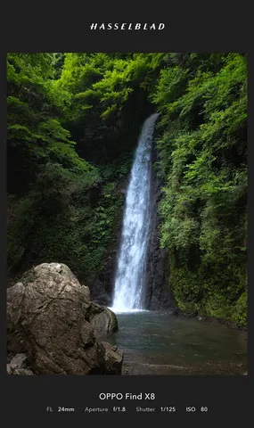 碧の森に響く滝