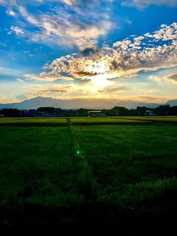 夕焼け空と緑の絨毯
