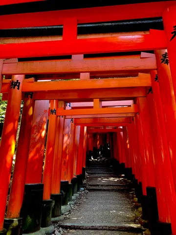 千本鳥居のトンネル