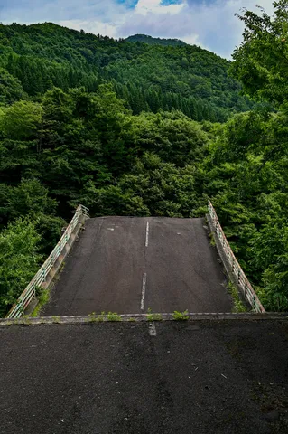 緑に抱かれる道