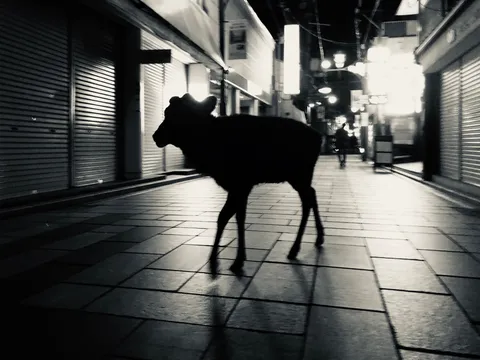 夜の街角、思わぬ出会い