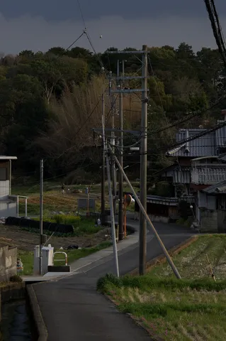 電柱と田舎道、懐かしい風景