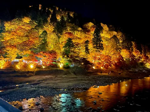 燃える秋の夜、灯りに浮かぶ景観