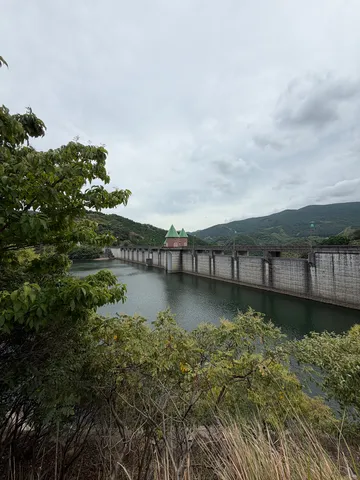 重厚なダムと緑のコントラスト