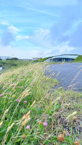 風にそよぐ草と、都会的な建築物