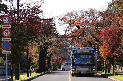 秋色に染まる道、バスはどこへ