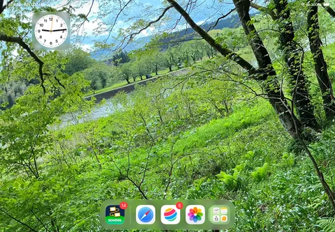 緑が息づく朝の川辺