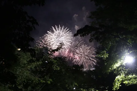 夜空に咲いた華、木漏れ日のサプライズ