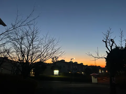 茜色の空と冬木立