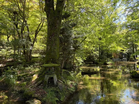 苔むす灯籠と静寂の川面
