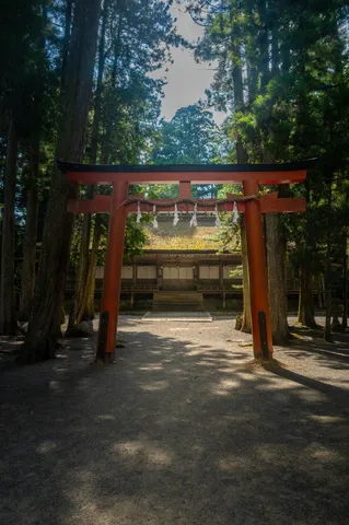 森に佇む朱色の鳥居