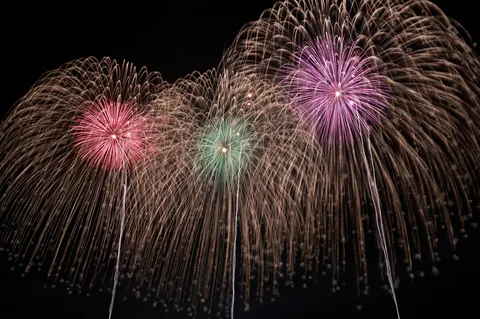 夜空に咲き誇る、彩りの競演