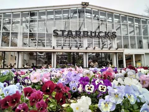 花壇越しのスターバックス