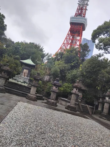 庭と鉄塔のコントラスト