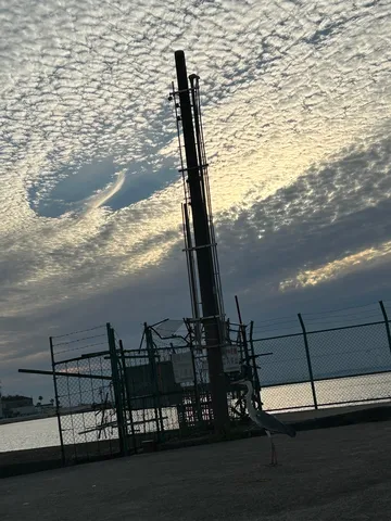 夕暮れの海岸、鷺の散歩