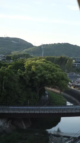 橋と緑、そして遠い山々