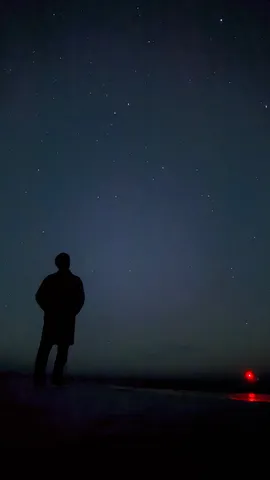 星降る夜、孤独なシルエット