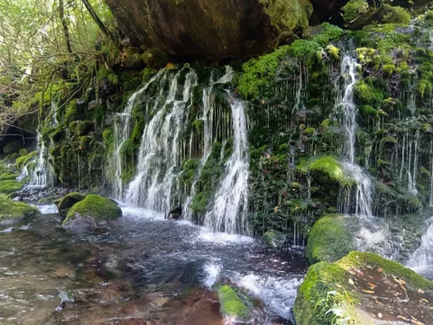 苔むす岩肌を伝う清流