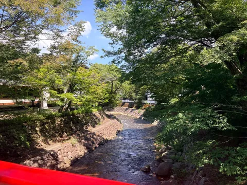 清流と緑のコントラスト