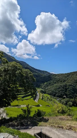 翠緑の棚田と空