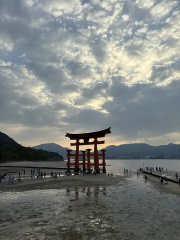 神秘の鳥居と光の空