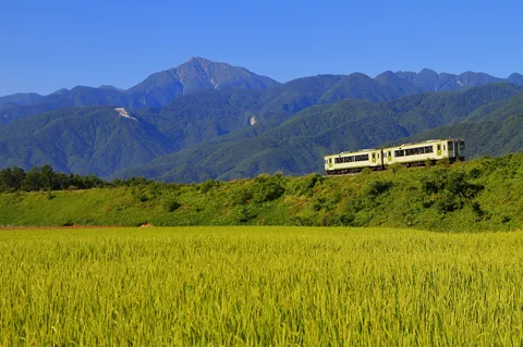 山を背景に緑を駆ける列車