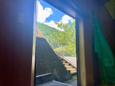 青空と緑、そして静かな階段