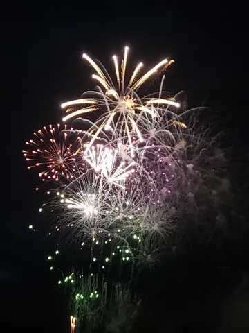 夜空を彩る光の芸術
