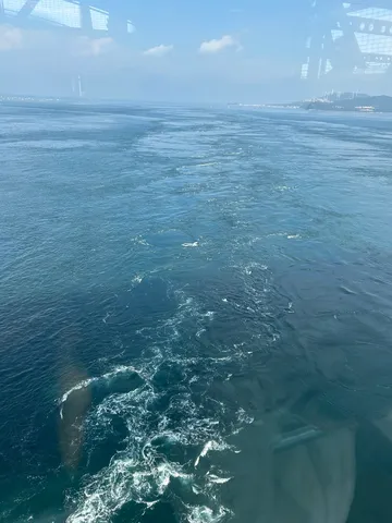 渦潮と広がる海