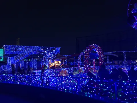 光の海に包まれて