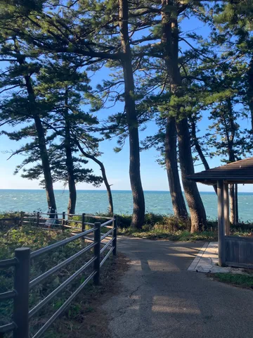 海風と樹影の小径