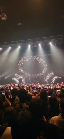 ライブ会場の熱気と一体感