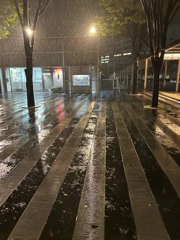 雨粒がきらめく夜の静寂