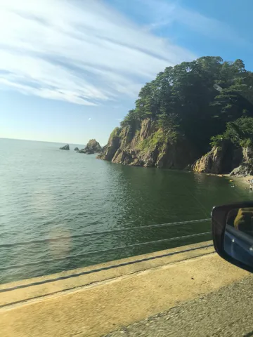 緑の海と緑の森のコントラスト