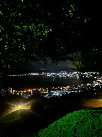 夜景に溶け込む緑の木陰