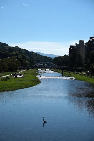 水辺の静かな日常風景